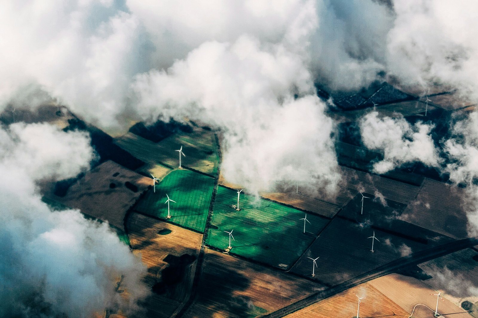 Transforming Waste to Green Energy: The Future of EFB Pellets